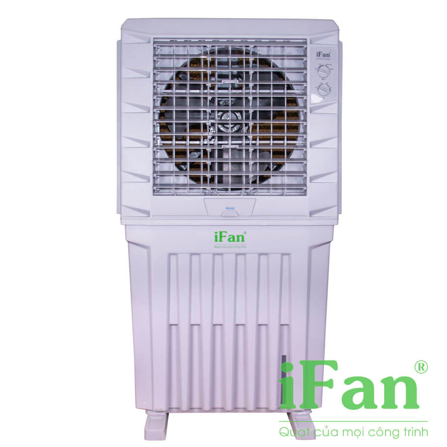 MÁY LÀM MÁT IFAN-12000A