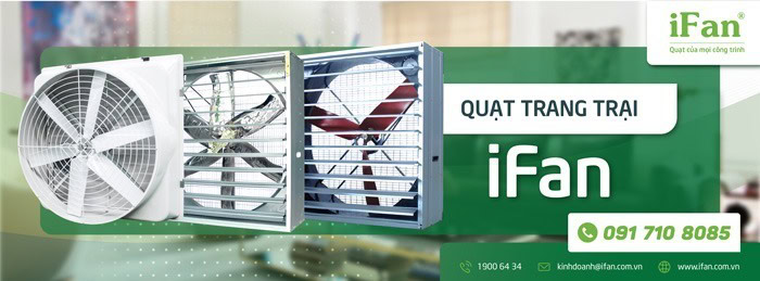 Quạt trang trại iFan