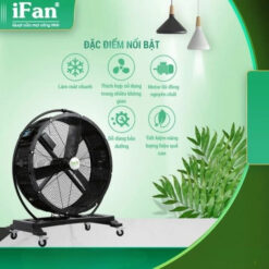 quạt di động có đảo chiều