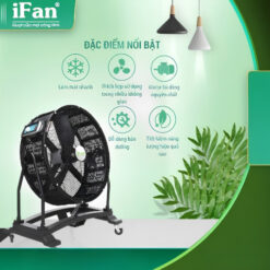 quạt tròn di động cao cấp không đảo chiều