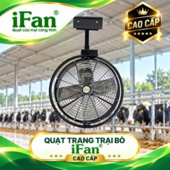 Quạt trang trại bò