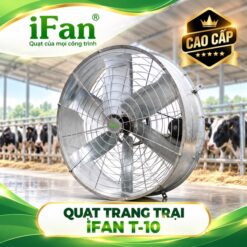 Quạt trang trại iFan T10