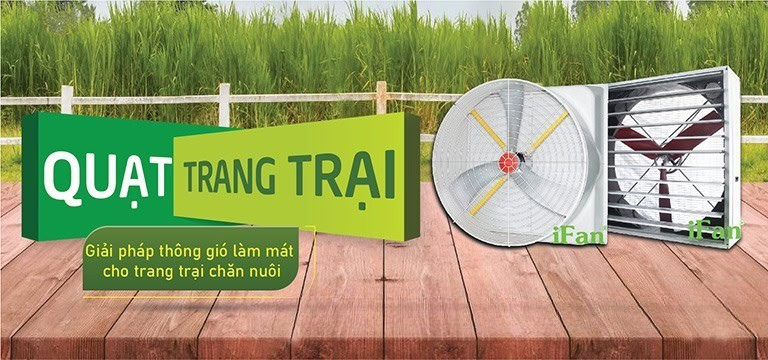 quạt trang trại ifan